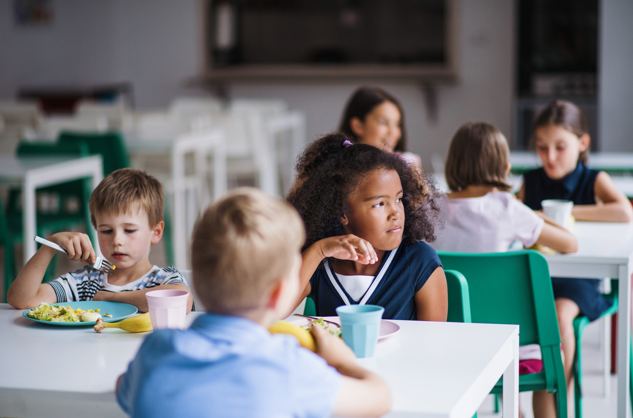 A group of cheerful small school kids in canteen, eating lunch and talking.